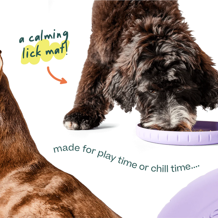 Woof Fly 'N' Feed Lavender Dog Frisbee & Lick Mat
