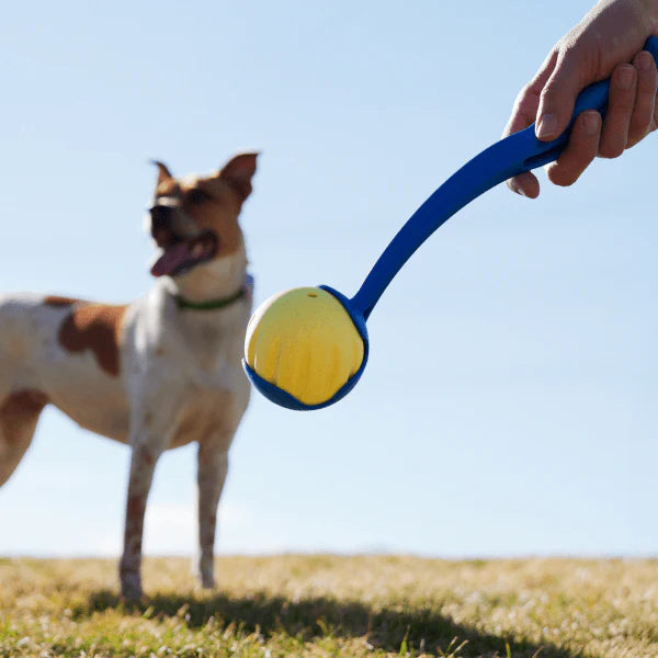 Woof Yellow Flyball 2-in-1 Dog Ball & Puzzle Toy