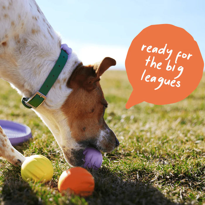 Woof Yellow Flyball 2-in-1 Dog Ball & Puzzle Toy