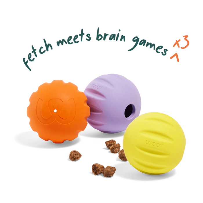 Woof 3 Pack Flyball 2-in-1 Dog Ball & Puzzle Toy