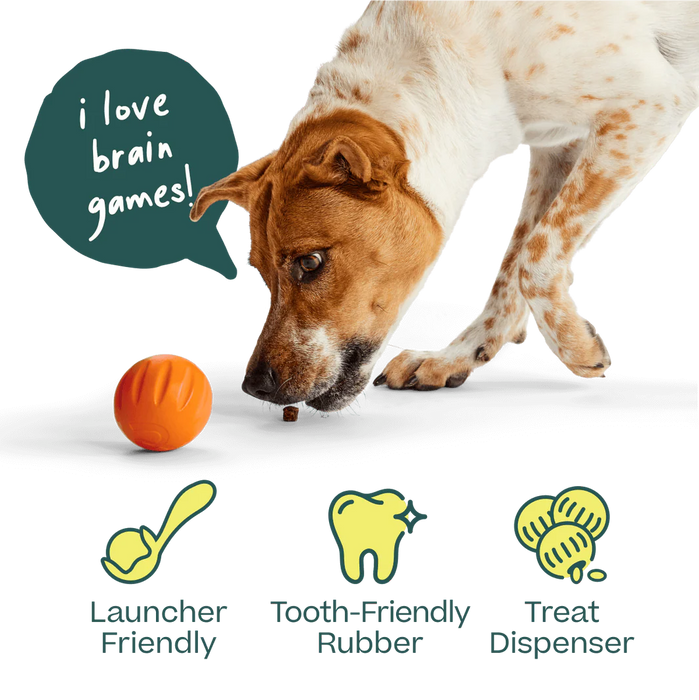 Woof Yellow Flyball 2-in-1 Dog Ball & Puzzle Toy