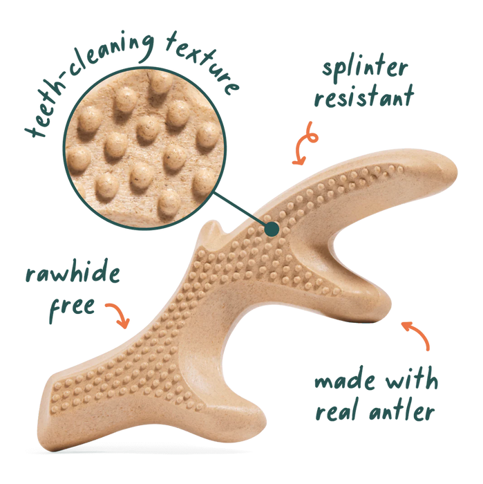 Woof HonestChew Ultra-Durable Antler Dog Chew Toy