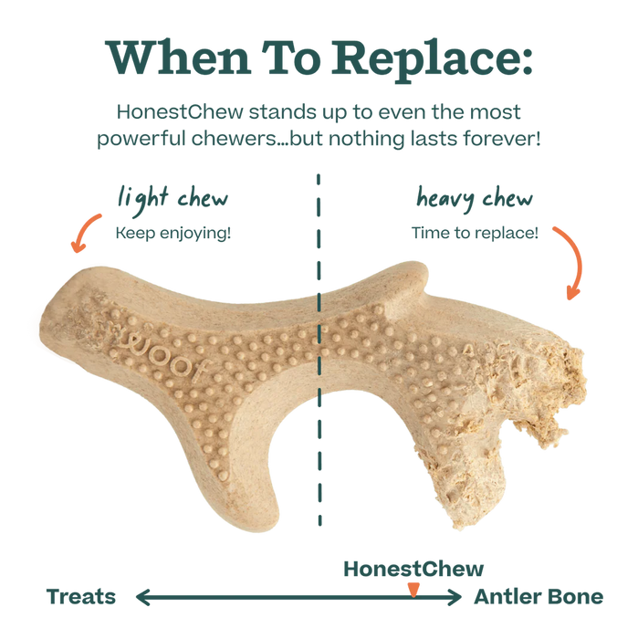 Woof HonestChew Ultra-Durable Antler Dog Chew Toy