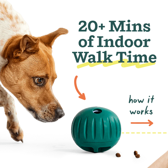 Woof Walkabout Slow Feeder Ball & Treat Puzzle Dog Toy