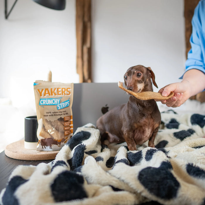 YAKERS Crunchy Strips Natural Dog Treats - 70g