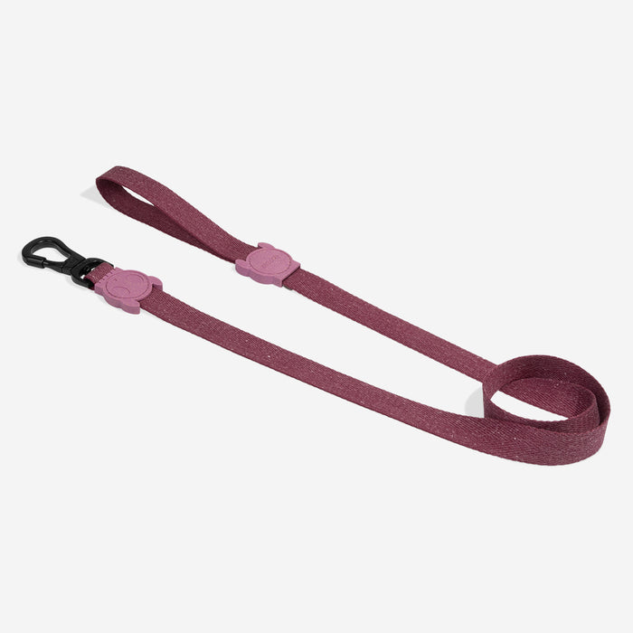 Purple Dog lead on a white background
