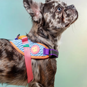 FlyHarness: Ultra-lightweight & Durable