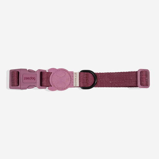 Purple dog collar with a black buckle on a white background