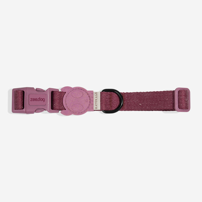 Purple dog collar with a black buckle on a white background