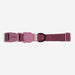 Purple dog collar with a black buckle on a white background