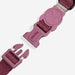 Pink dog collar with a clip on a white background