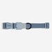 Dog collar with a gray buckle on a white background