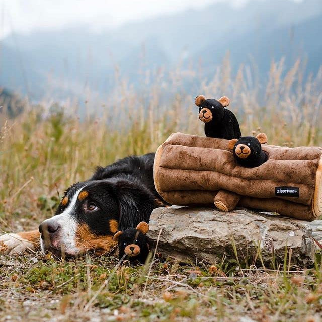 Dog lying by a rock with a plush bear toy and a brown dog toy with toy bears in a field.
