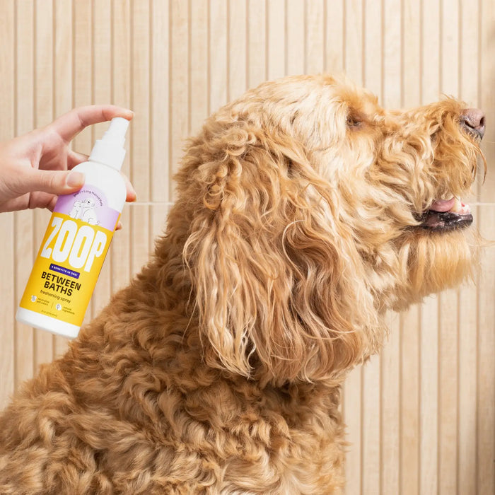 5-in-1 Natural Complete Between Bath Freshening Spray for Dogs
