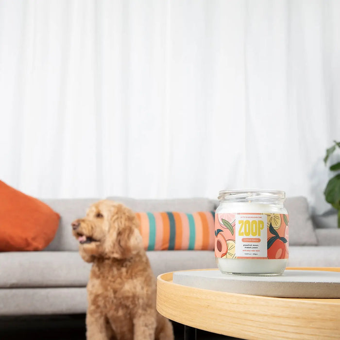 Pet clearance odour candle