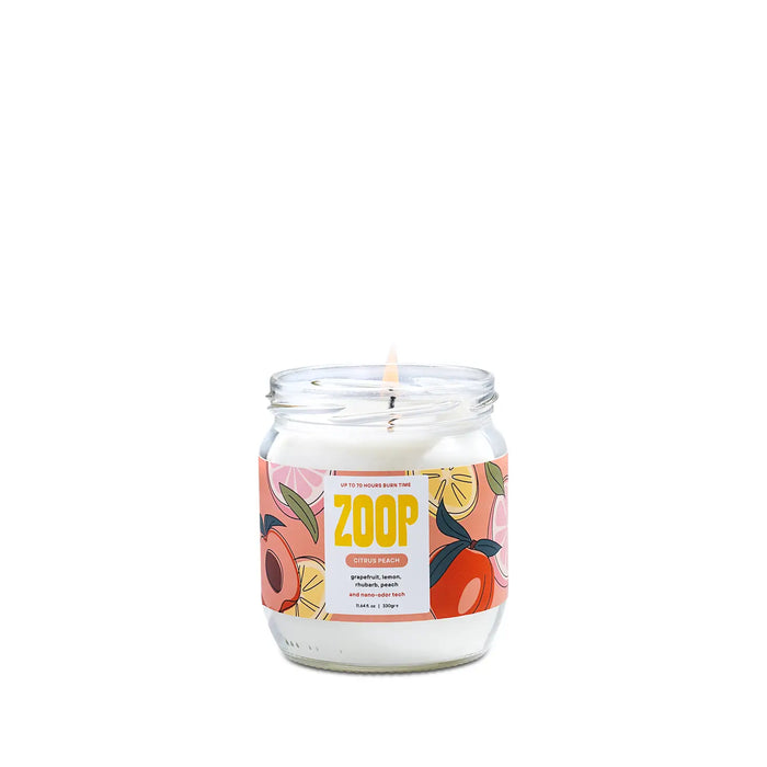 Pet Odor Eliminating Scented Non-Toxic Pet Candle