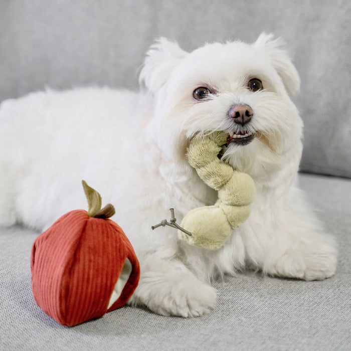 Apple & Caterpillar Soft Enrichment Toy for Dogs