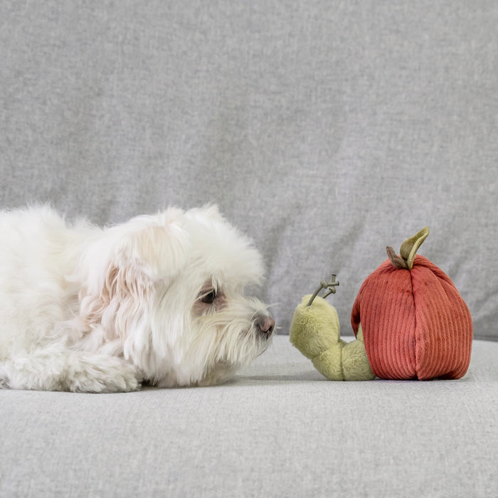 Apple & Caterpillar Soft Enrichment Toy for Dogs