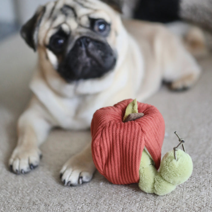 Apple & Caterpillar Soft Enrichment Toy for Dogs