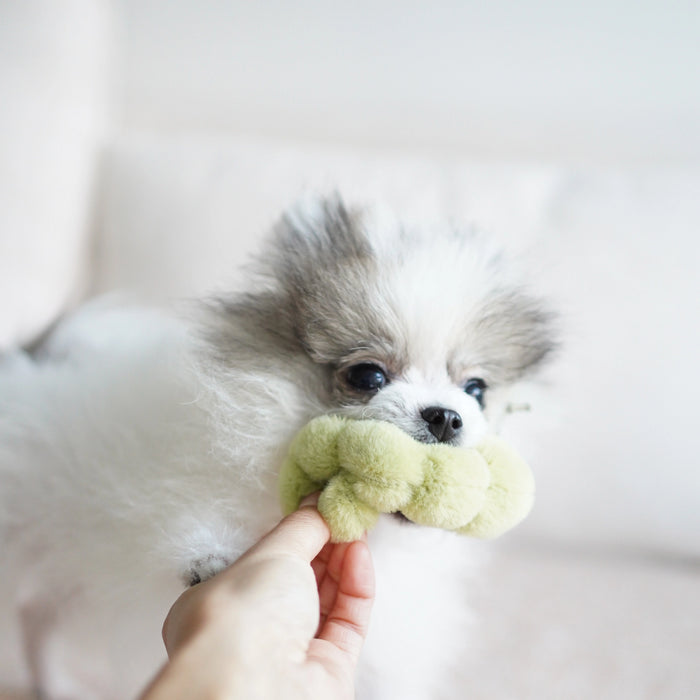 Apple & Caterpillar Soft Enrichment Toy for Dogs