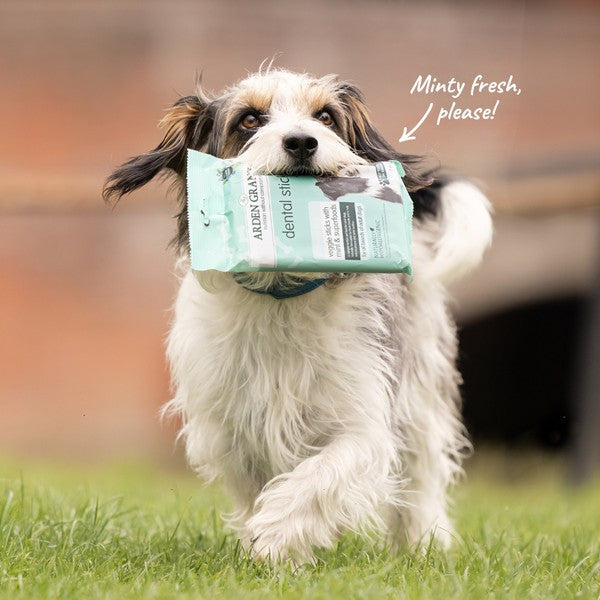 Arden Grange Dental Sticks Veggie, Mint & Superfoods - 180g