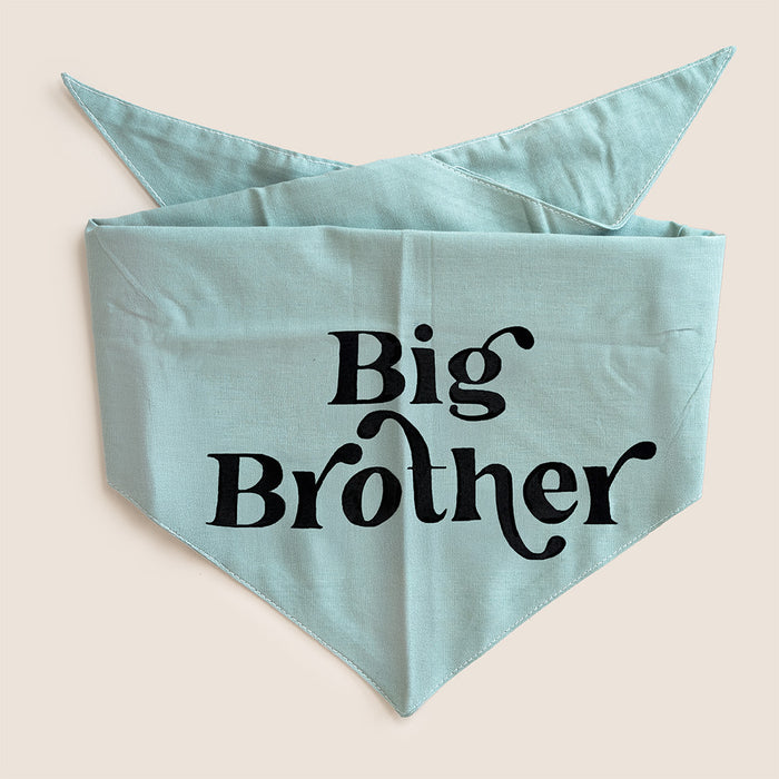 Big Brother Bandana for Dogs