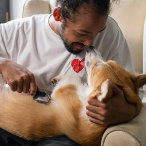 Tips to Control Dog Shedding & Moulting