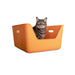 Cat peeking out from an orange pet bed on a white background