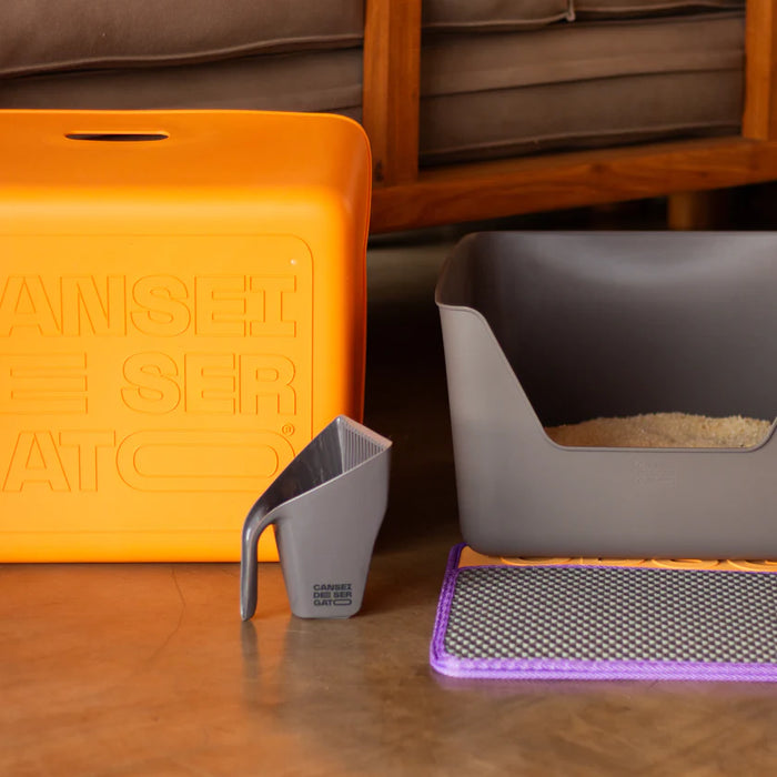 Cat litter box, scoop, and mat on a wooden floor with a yellow container in the background.