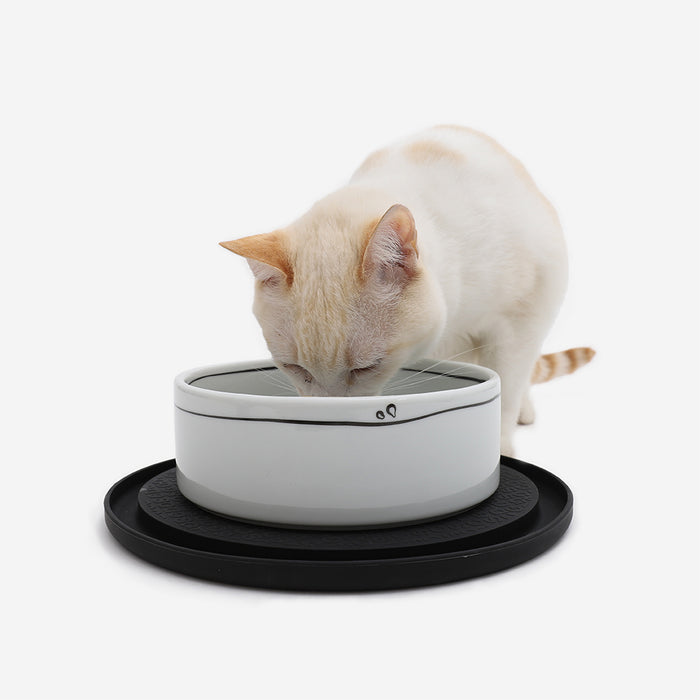 CDSG Cat Food Mat