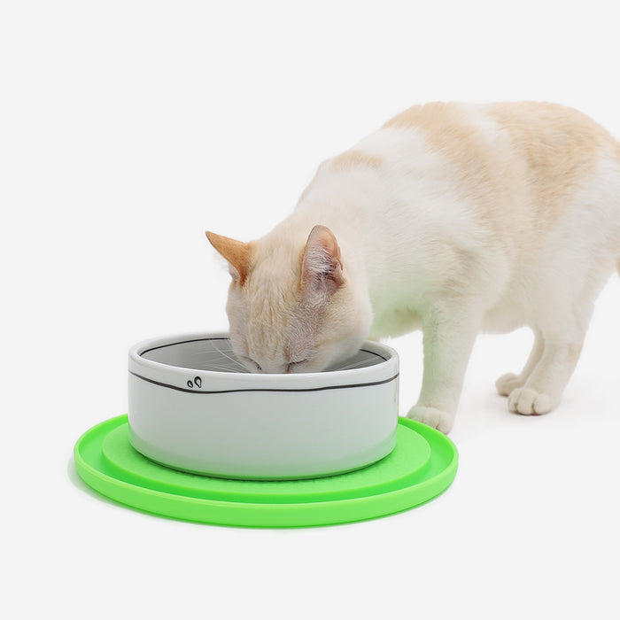 CDSG Cat Food Mat