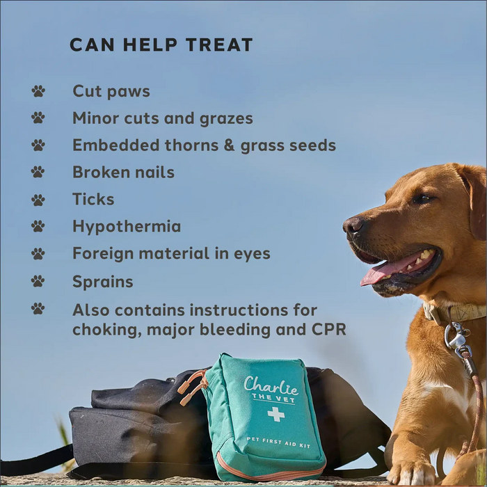Charlie The Vet Dog First Aid Kit