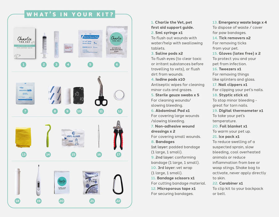 Charlie The Vet Dog First Aid Kit