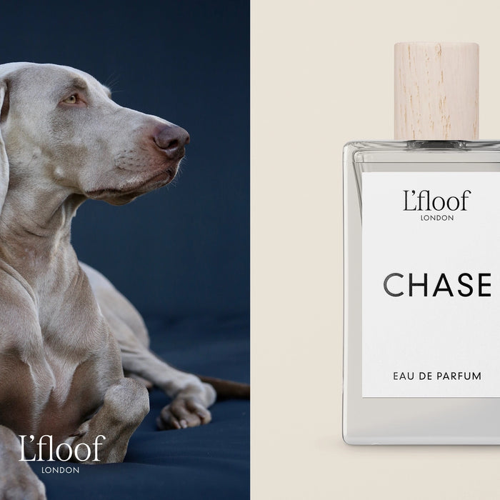 CHASE Sandalwood, Patchouli and Amber, Dog Perfume Fragrance Spray - 100ml