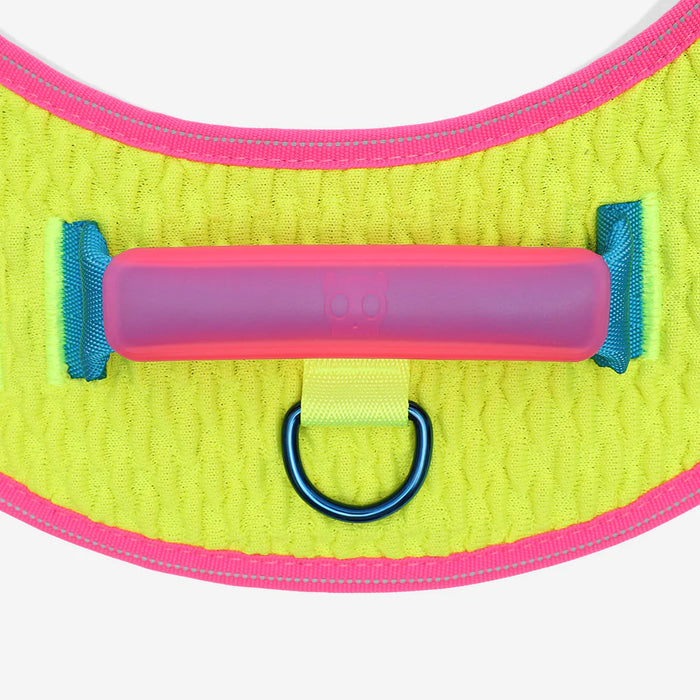 Neon green dog harness with pink border and blue buckle on a white background