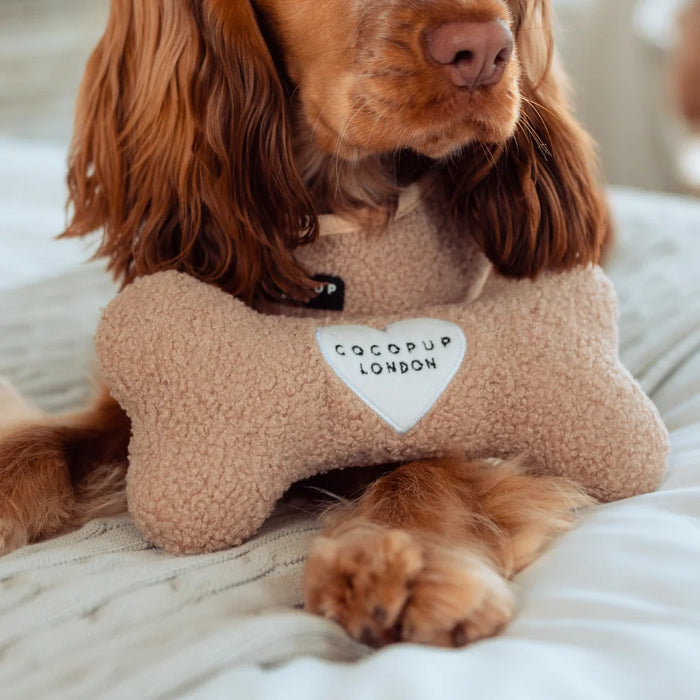 CocoPup London Teddy Rupert Bone Dog Toy