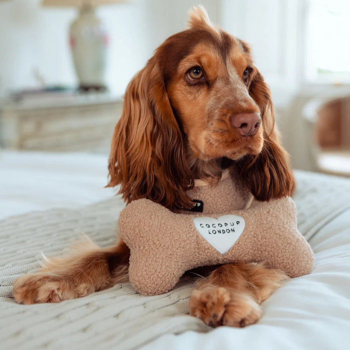 CocoPup London Teddy Rupert Bone Dog Toy