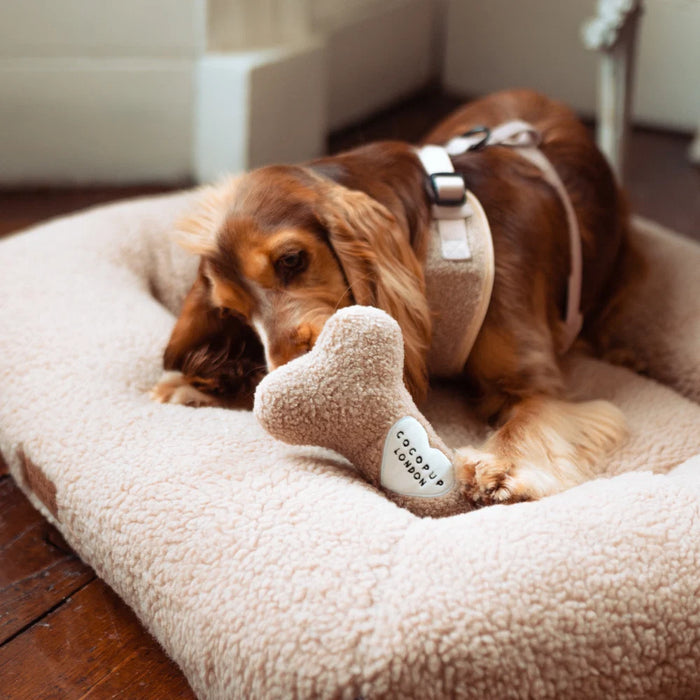 CocoPup London Teddy Rupert Bone Dog Toy