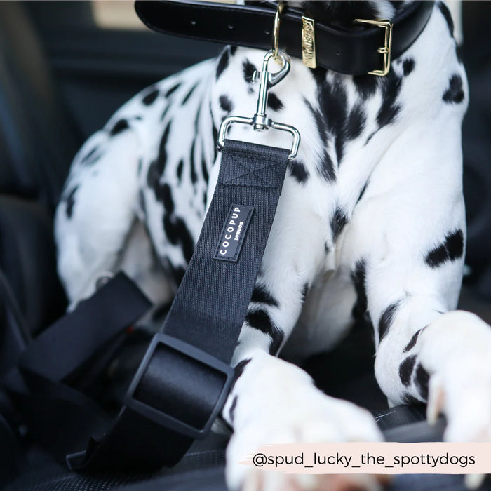 Dalmatian dog wearing a black seat belt with a visible brand logo in a car.