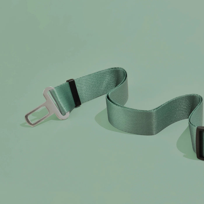 Green belt with a silver buckle on a light green background