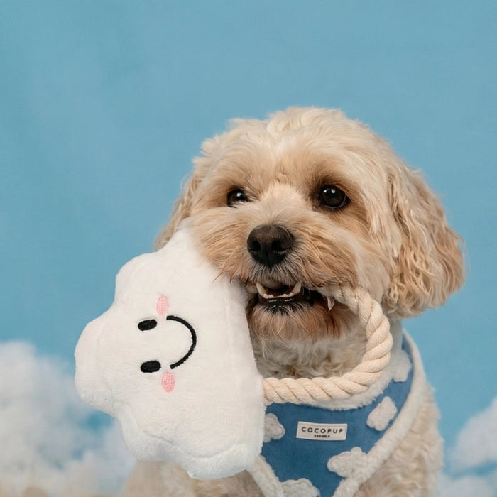 CocoPup London Clemmie the Cloud Soft Dog Toy