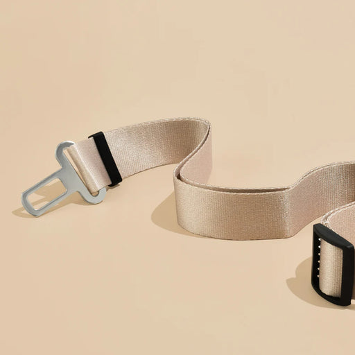 Beige belt with metal buckle on a beige background