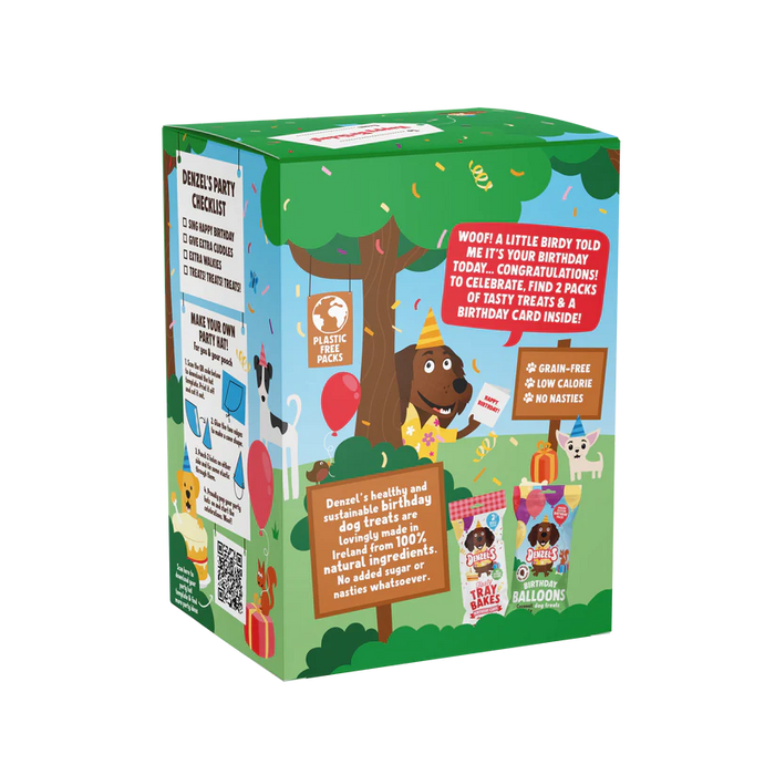 Denzel's Birthday Gift Box Dog Treats - 110g