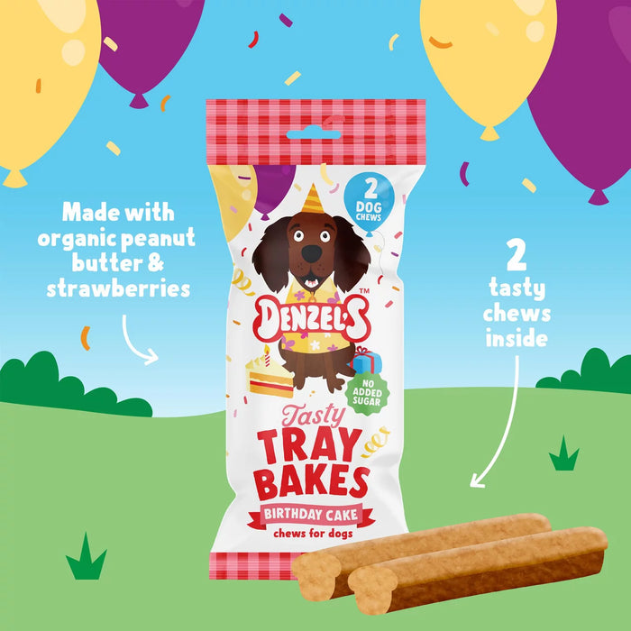 Denzel's Birthday Gift Box Dog Treats - 110g