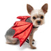 Small dog wearing a red dragon costume on a white background