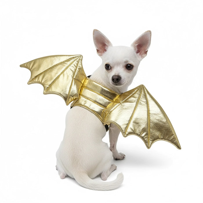 Small dog wearing gold bat wings on a white background