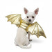 Small dog wearing gold bat wings on a white background
