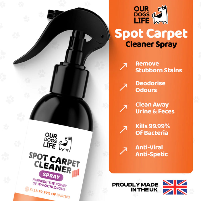 Spot Carpet Cleaner Spray bottle with product features on an orange and white background