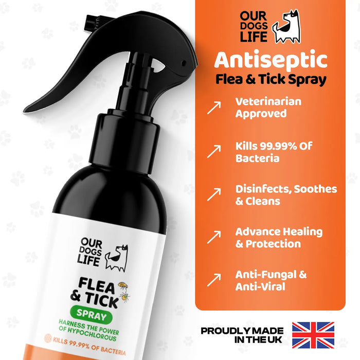 DogsLife Flea & Tick Dog Treatment Spray