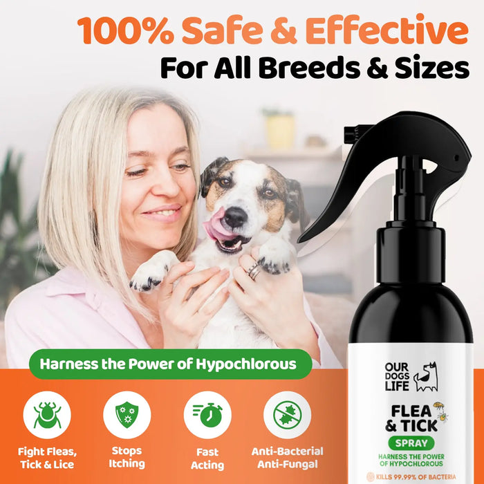 DogsLife Flea & Tick Dog Treatment Spray